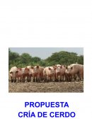 PROYECTO PROPUESTA CRIA DE CERDO