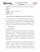 ENTREVISTA ADOLESCENTES