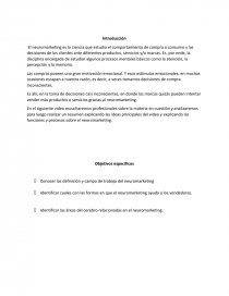 El neuromarketing. Página 1
