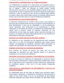 Perfil profesional de obstetricia