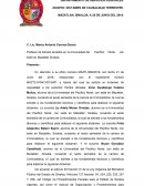 DICTAMEN DE CAUSALIDAD TERRESTRE