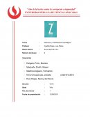 Foro_Mapa conceptual empresa: Zuma Sport E.I.R.L