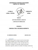 Mala conducta legal y extralegal