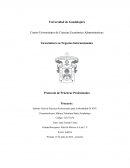 Ejemplo coloquio practicas negocios internacionales