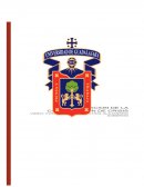 RESUMEN CONFERENCIA MAGISTRAL