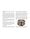Texto paralelo Derecho Humano