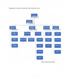 Organigrama: Empresa envasado del Atún, Robinson Crusoe