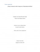 ¿Porque el aumento de cultivo de aguacate en el Departamento del Huila?