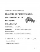 PROYECTO DE PRODUCCION DEL CULTIVO CAFÉ EN LA REGION DE CACAHOATAN