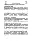 LOGICA FINANCIERA, GEOGRAFIA DE LA FINANCIARIZACION Y CRECIMIENTO URBANO MERCANTILIZADO