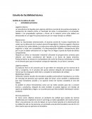 Estudio de factibilidad técnica Análisis de la cadena de valor