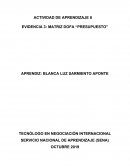 EVIDENCIA 3: MATRIZ DOFA “PRESUPUESTO”