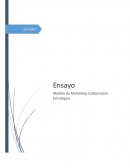 Modelo de marketing colaboracion estratégica