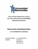 PSICOLOGIA ORGANIZACIONAL.ORGANIZACIÓN- CONTRATO PSICOLOGICO