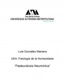 Pasteurelosis Neumónica