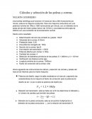 Cálculos y selección de las poleas y correas