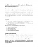 Análisis de la estructura de la industria (Técnica del pronóstico y diagnostico)