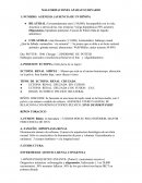 MALFORMACIONES APARATO URINARIO