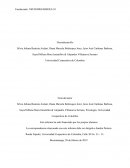 El desarrollo del Sistema Nervioso (SN)