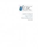 Variables en los Negocios Negocios Globales