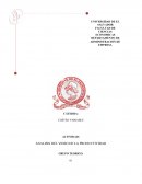 Actividad: Analisis del video de la productividad