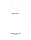 Actividad - evidencia Documentación de la operación de comercio