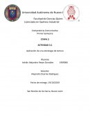 La cultura de la cultura Totonaca