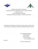 PROGRAMA DE PRODUCCIÓN ANIMAL Y/O PRODUCCIÓN VEGETAL