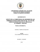 EFECTO DE LA COMPETENCIA DE ARVENSES EN LAS PRIMERAS ETAPAS FENOLÓGICAS DEL CULTIVO DE CAÑA DE AZÚCAR