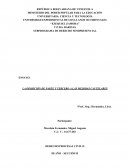 Formas de Oposición a medidas cautelares