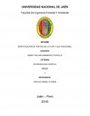 INFORME IDENTIFICACIÓN DE PARTES DE LA FLOR Y SUS FUNCIONES