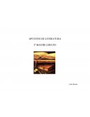 Apuntes literatura
