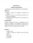 PRÁCTICA NO. 5 TIEMPO DE COAGULACIÓN (VALORACIÓN DE LA ACTIVACIÓN DE LA VÍA INTRINSECA)