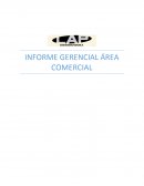 INFORME GERENCIAL EMPRESA LAP