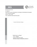 Proyecto final mercadotecnia THE CUPCAKES HOME