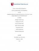 El embarazo en la adolescencia: Un análisis de sus causas