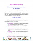 REFLEXIÓN PEDAGOGÍCA