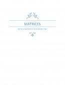 MATRICES