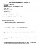 BRIEF o RESUMEN DE MARCA o DIAGNOSTICO