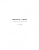 Diseño de un cuestionario. Investigación de Mercado