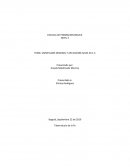 Fiesta de los niños