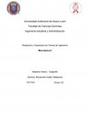 Redacción y Exposición de Temas de Ingeniería “Manufactura”