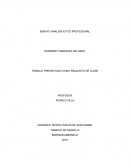 ANALISIS ETICO PROFESIONAL