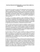 POLÍTICAS PÚBLICAS DE PROTECCIÓN A LA SALUD PARA CUMPLIR LA AGENDA 20-30