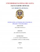 INERVACIÓN AUTÓNOMA DEL PÁNCREAS, HÍGADO Y VÍAS BILIARES