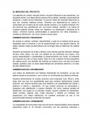 Construcción de un Organigrama de Muebleria