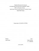 Ensayo sobre: EL PLAN DE LA PETRIA