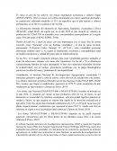 Panorama actual del Ecuador en producción cacaotera