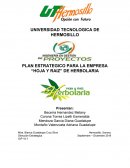 PLAN ESTRATEGICO PARA LA EMPRESA “HOJA Y RAIZ” DE HERBOLARIA