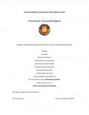 Desinfección de aguas residuales mediante lodos activados